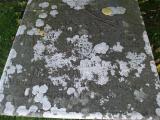 image of grave number 262396